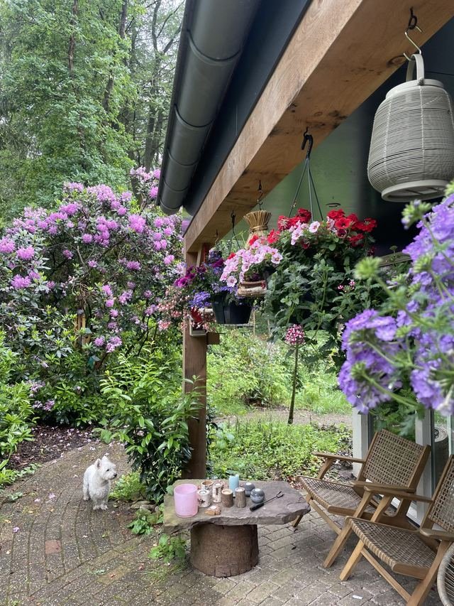 Foto 24