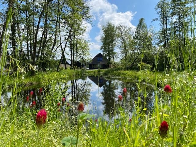 Foto 26