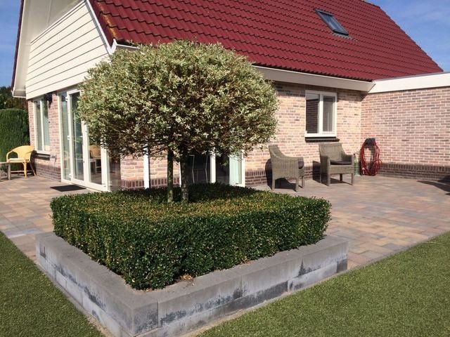 Foto 20