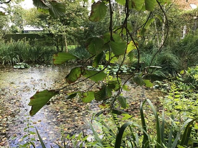 Foto 19