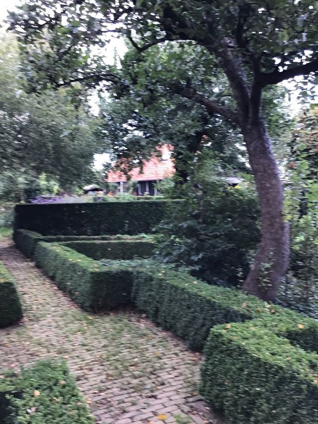 Foto 24
