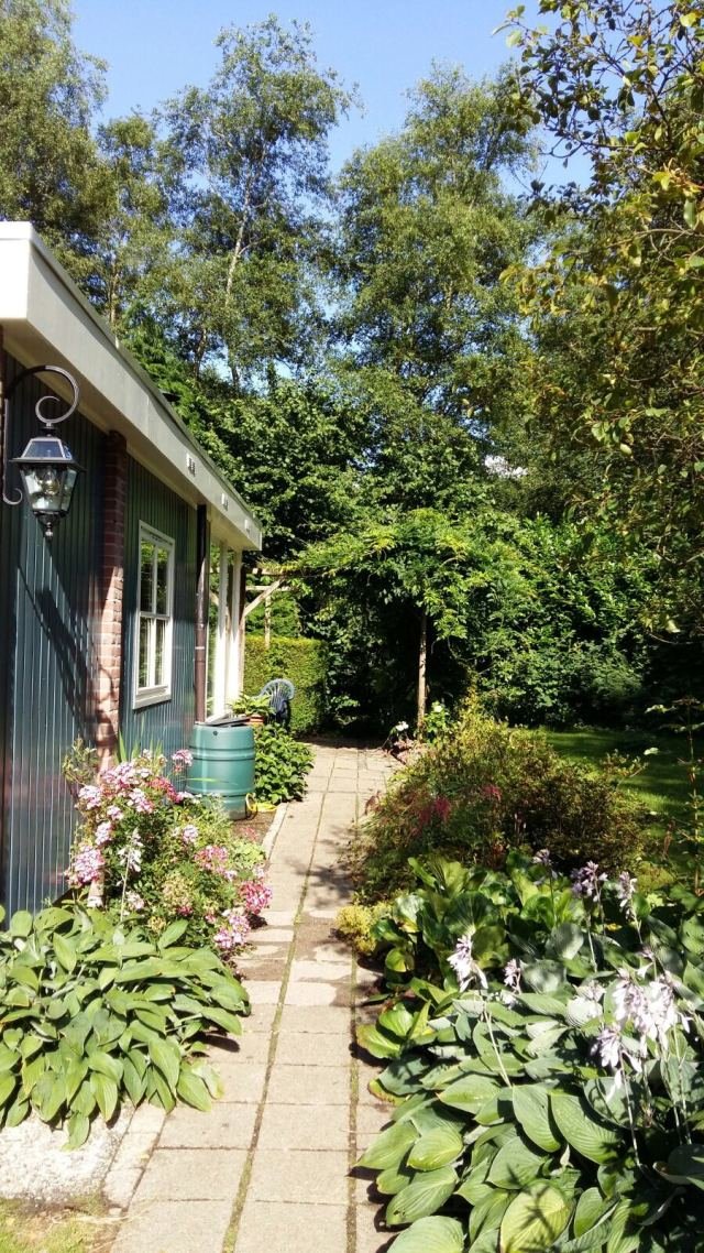 Foto 14